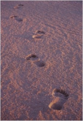 Des pas dans le sable